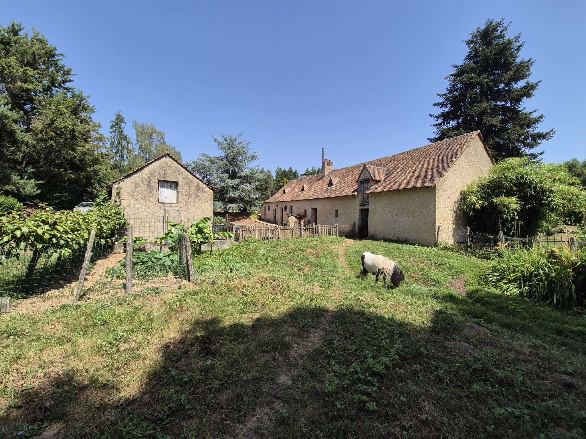 A VENDRE - EXCEPTIONNEL ! SECTEUR DE PARCE SUR SARTHE